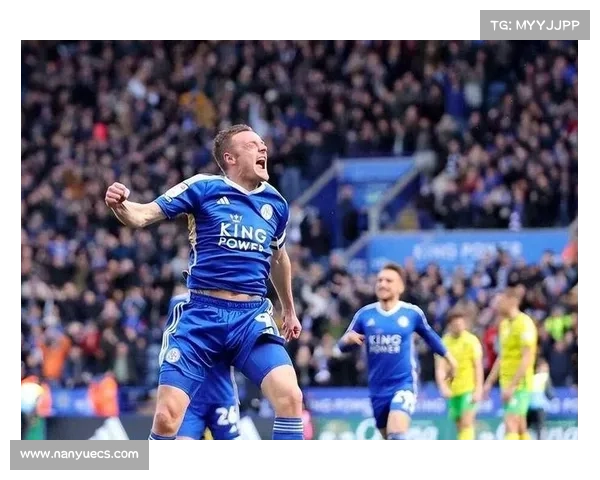 围绕英冠联赛五大比赛类型深入解读赛场特色与竞技魅力全面呈现风采